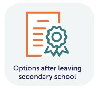 Options after leaving secondary school