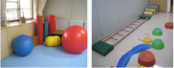 Physiotherapy balls and objects